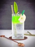61775492_474886503314875_694948233591022070_n